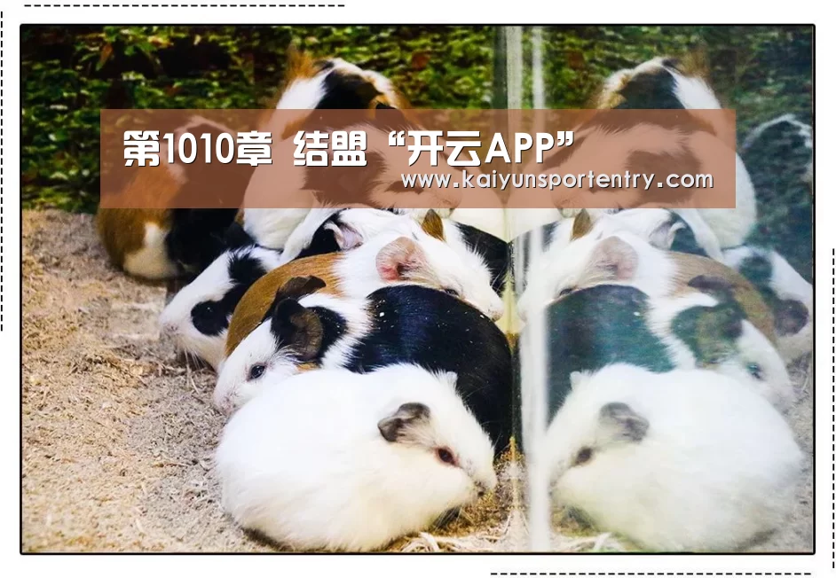 第1010章 结盟“开云APP”(图3) 开云推荐