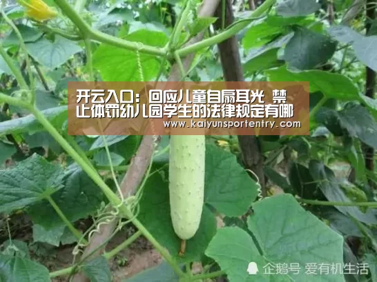 开云入口：回应儿童自扇耳光 禁止体罚幼儿园学生的法律规定有哪些？
