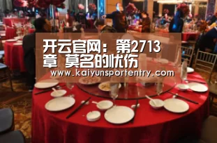 开云官网：第2713章 莫名的忧伤