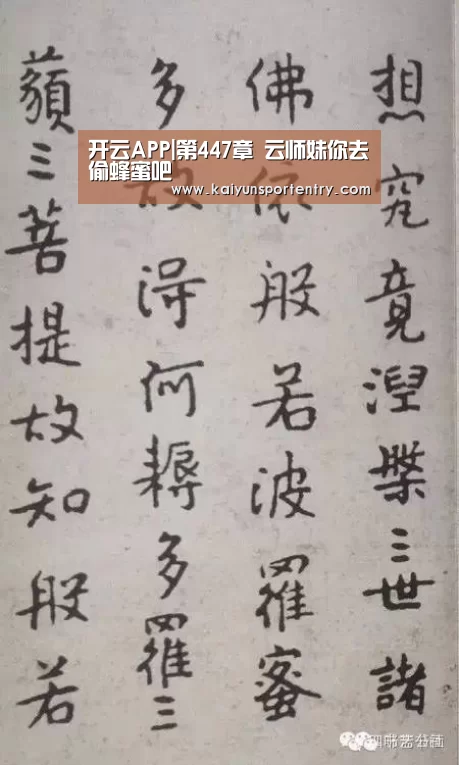 开云APP|第447章 云师妹你去偷蜂蜜吧(图4) 开云入口